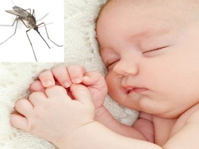 Trẻ sơ sinh bị muỗi đốt: 9 mẹo xử lý đơn giản nhưng vô cùng hiệu quả